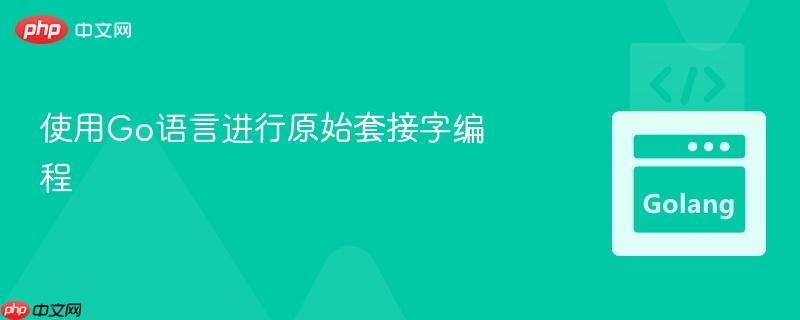 使用go语言进行原始套接字编程