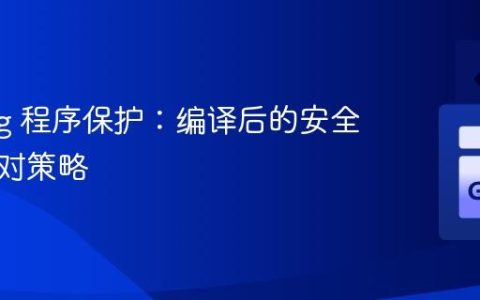 Golang 程序保护：编译后的安全性与应对策略