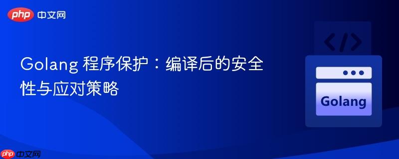 golang 程序保护:编译后的安全性与应对策略