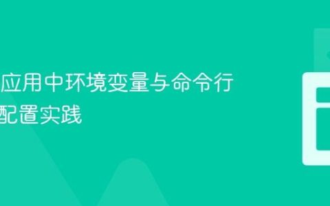 Vue.js 应用中环境变量与命令行参数的配置实践