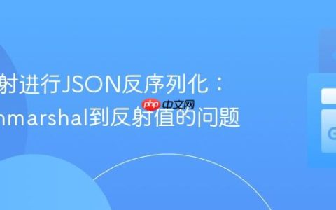 使用反射进行JSON反序列化：解决Unmarshal到反射值的问题