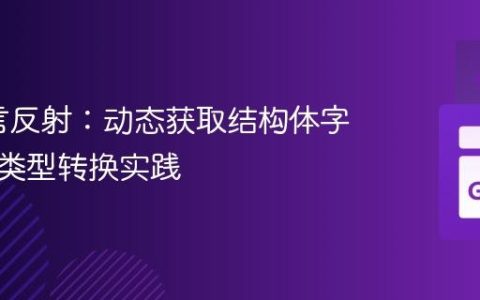 Go语言反射：动态获取结构体字段值与类型转换实践