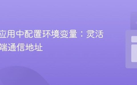 Vue.js应用中配置环境变量：灵活管理后端通信地址