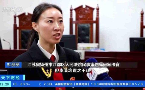 买家网购苹果手机仅退款不退货遭商家维权，法官调解后支付货款