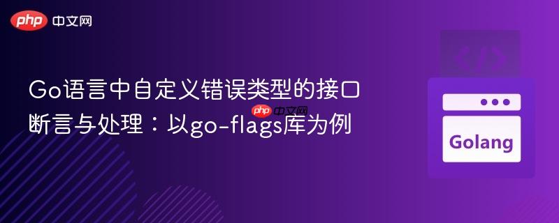 Go语言中自定义错误类型的接口断言与处理：以go-flags库为例