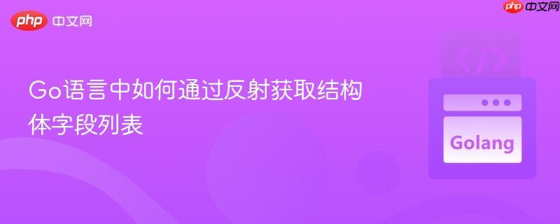 Go语言中如何通过反射获取结构体字段列表