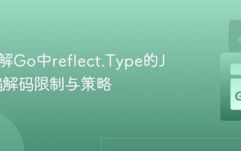 深入理解Go中reflect.Type的JSON编解码限制与策略