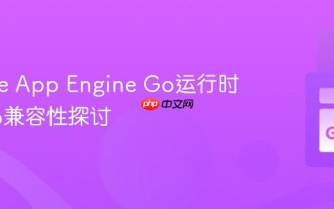 Google App Engine Go运行时与CGo兼容性探讨