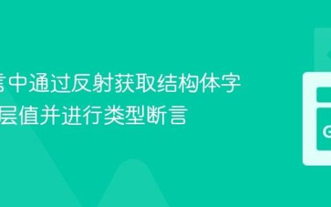 Go语言中通过反射获取结构体字段的底层值并进行类型断言