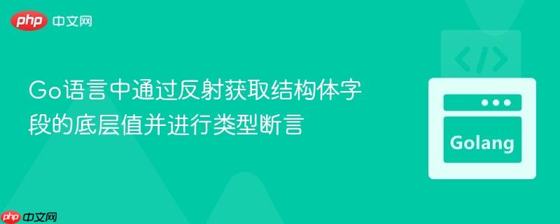 Go语言中通过反射获取结构体字段的底层值并进行类型断言