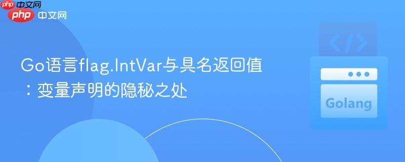 Go语言flag.IntVar与具名返回值：变量声明的隐秘之处