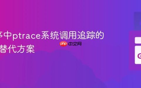 Go程序中ptrace系统调用追踪的挑战与替代方案