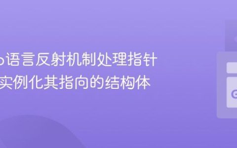 使用Go语言反射机制处理指针类型并实例化其指向的结构体