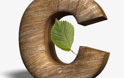 微服务中的服务网格如何实现请求认证？
