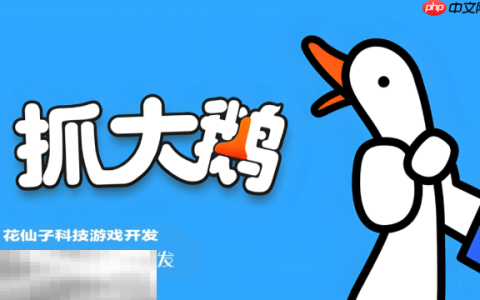 抓大鹅2025兑换码都有哪些 2025最新可用兑换码大全