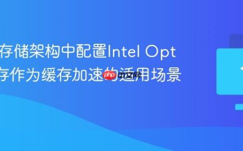 在混合存储架构中配置Intel Optane内存作为缓存加速的适用场景分析