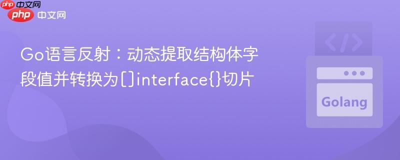 Go语言反射：动态提取结构体字段值并转换为[]interface{}切片