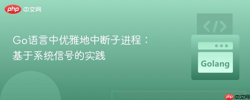 go语言中优雅地中断子进程:基于系统信号的实践