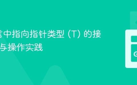 Go语言中指向指针类型 (T) 的接口断言与操作实践