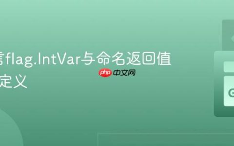 Go语言flag.IntVar与命名返回值的隐式定义
