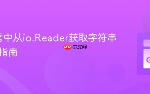 Go语言中从io.Reader获取字符串的实践指南
