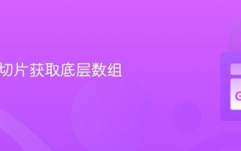 从 Go 切片获取底层数组