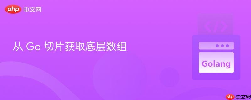 从 go 切片获取底层数组