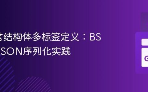 Go语言结构体多标签定义：BSON与JSON序列化实践
