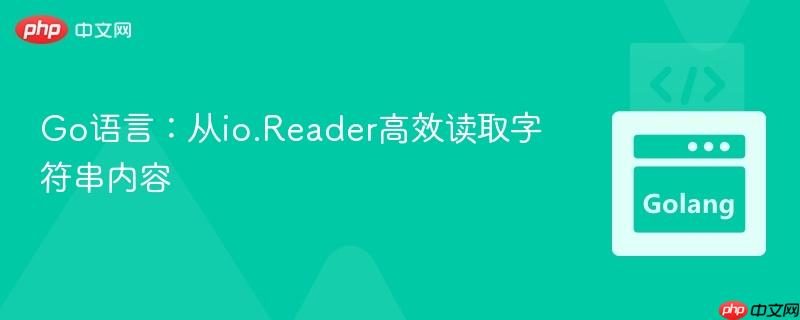 Go语言：从io.Reader高效读取字符串内容