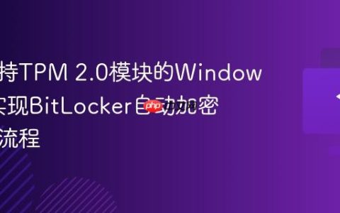构建支持TPM 2.0模块的Windows系统实现BitLocker自动加密的配置流程