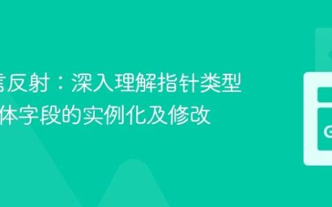 Go语言反射：深入理解指针类型与结构体字段的实例化及修改