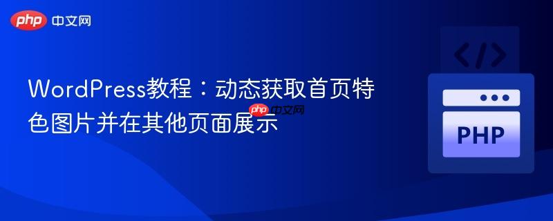 WordPress教程：动态获取首页特色图片并在其他页面展示