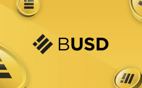 BUSD稳定币如何兑换_BUSD稳定币兑换渠道及手续费详解
