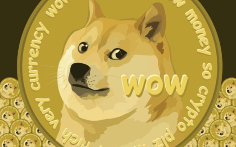 DOGE狗狗币～马斯克的“太空货币”