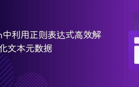 Python中利用正则表达式高效解析结构化文本元数据