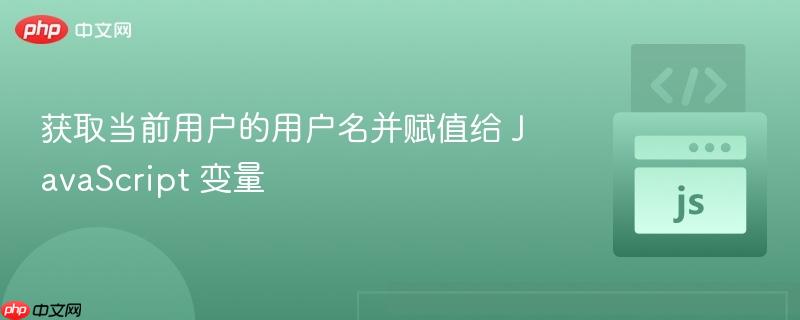 获取当前用户的用户名并赋值给 javascript 变量