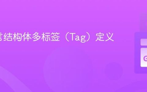 Go语言结构体多标签（Tag）定义指南