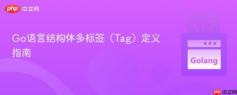 Go语言结构体多标签（Tag）定义指南
