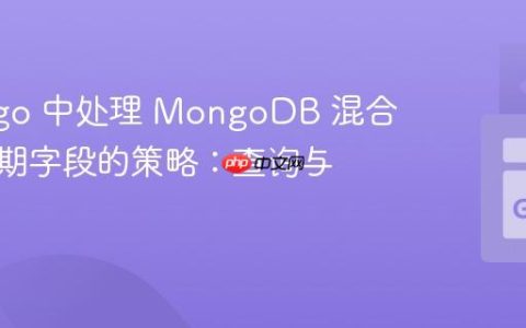 Go/mgo 中处理 MongoDB 混合类型日期字段的策略：查询与验证