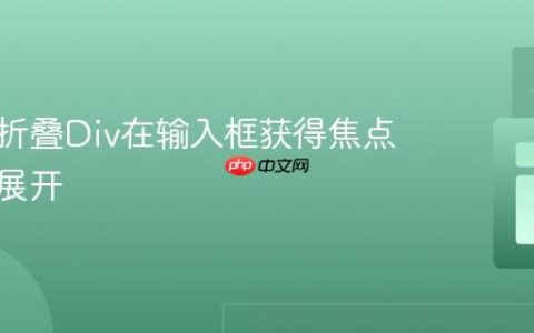 保持可折叠Div在输入框获得焦点时始终展开