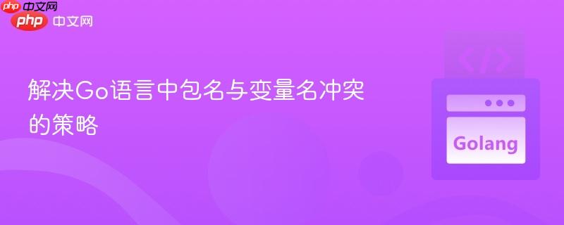 解决Go语言中包名与变量名冲突的策略