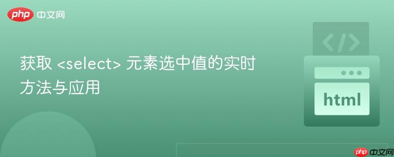获取 元素选中值的实时方法与应用