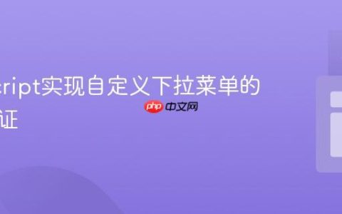 JavaScript实现自定义下拉菜单的必填验证