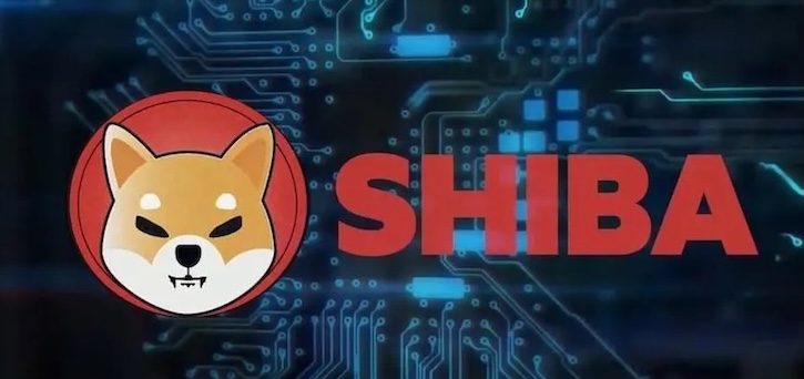 什么是SHIB(柴犬币)?如何购买、价格预测及社区分析 | 在币安(Binance)购买柴犬币全攻略 - 创想鸟