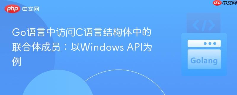 Go语言中访问C语言结构体中的联合体成员:以Windows API为例