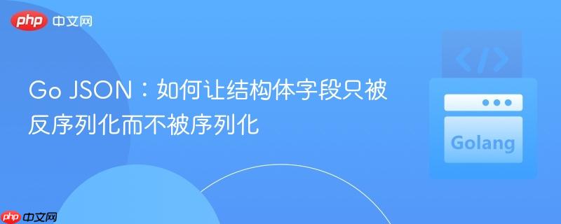 Go JSON:如何让结构体字段只被反序列化而不被序列化
