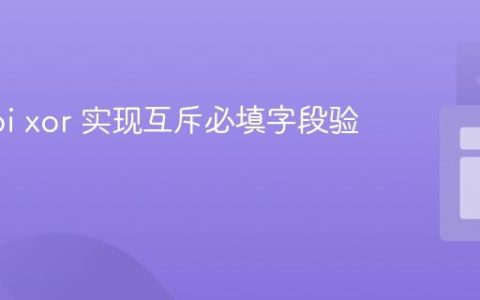 使用 Joi xor 实现互斥必填字段验证