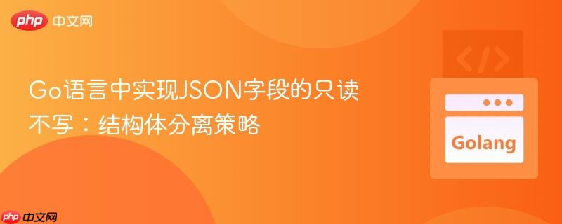 Go语言中实现JSON字段的只读不写:结构体分离策略