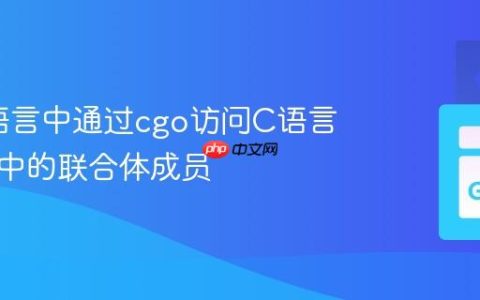 在Go语言中通过cgo访问C语言结构体中的联合体成员