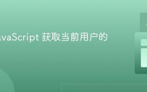 使用 JavaScript 获取当前用户的用户名